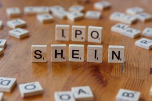 Shanti Inorganics IPO
